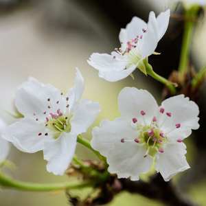 亚洲丰满女人大陰户11
